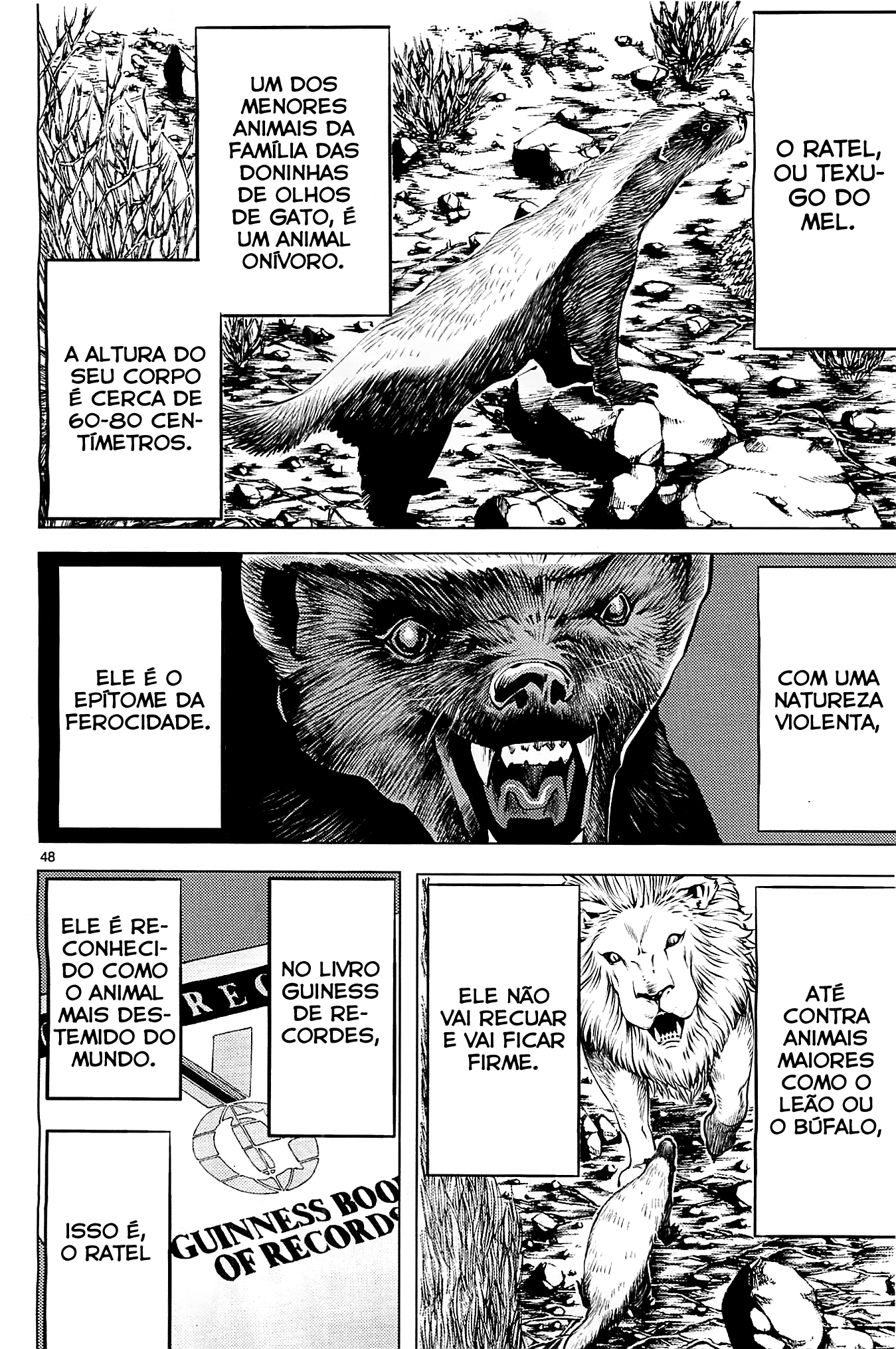 Killing Bites É Melhor Você Não Olhar Atrás da Cortina 第49页