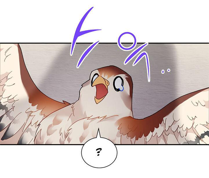 Carrier Falcon Princess Rozdział 2. 第11页