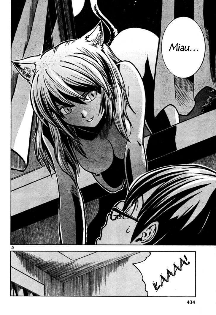 Oshioki Shaman Musume 第3页