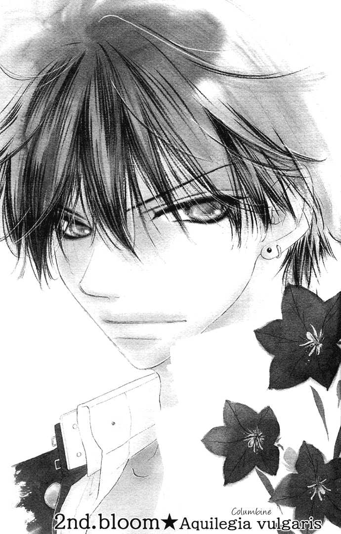 Kiss/Hug Auilegia Vulgaris 第3页