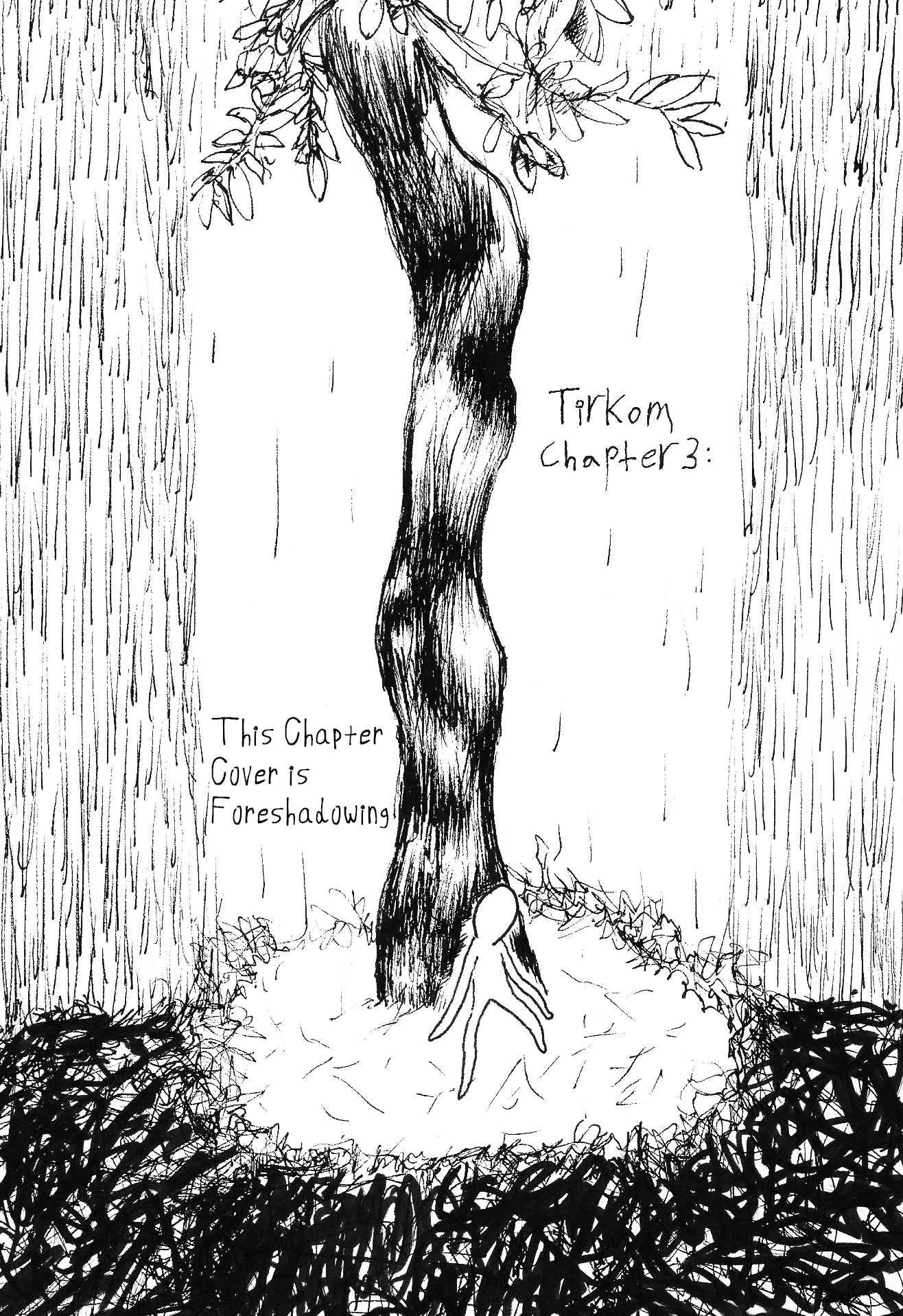 Tirkom This Chapter Cover is Foreshadowing 第1页