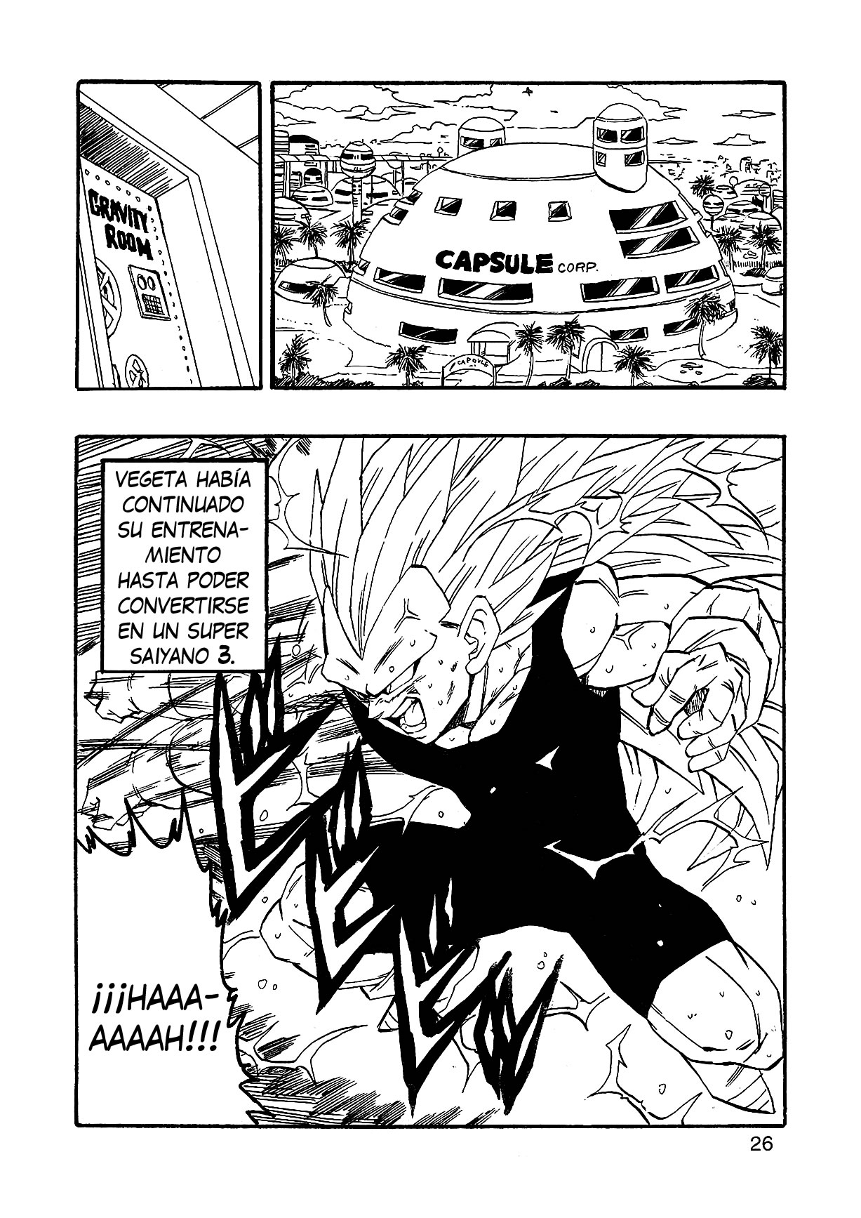 Dragon Ball AF (Young Jijii) Despues Del Futuro 第29页