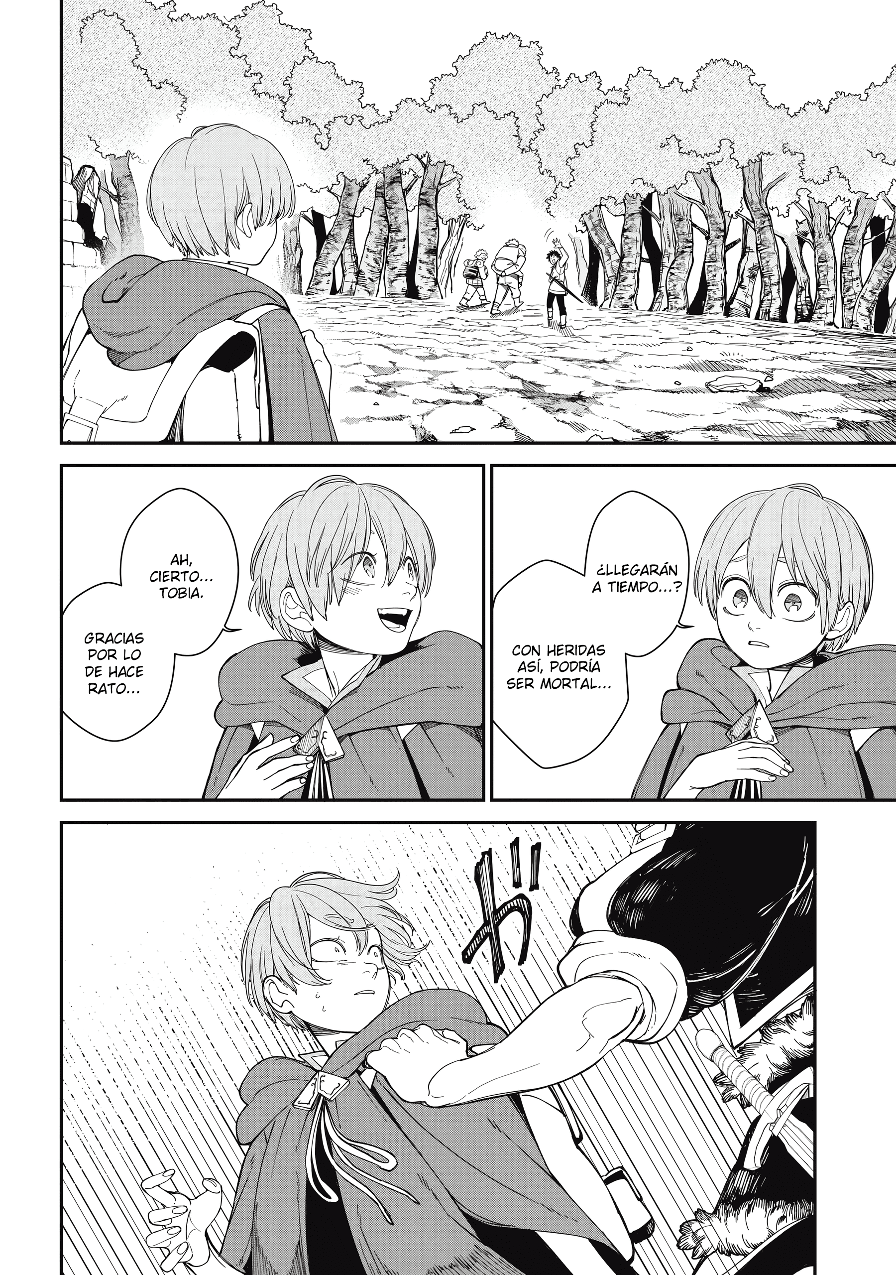 Meaheim El Miedo de la Barrera 第24页