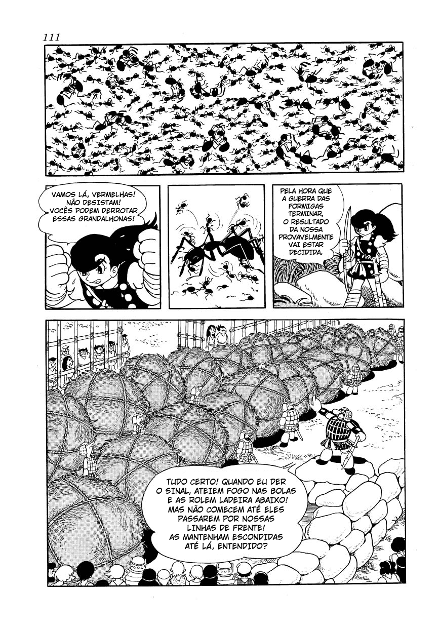 Phoenix O Amanhecer 第110页