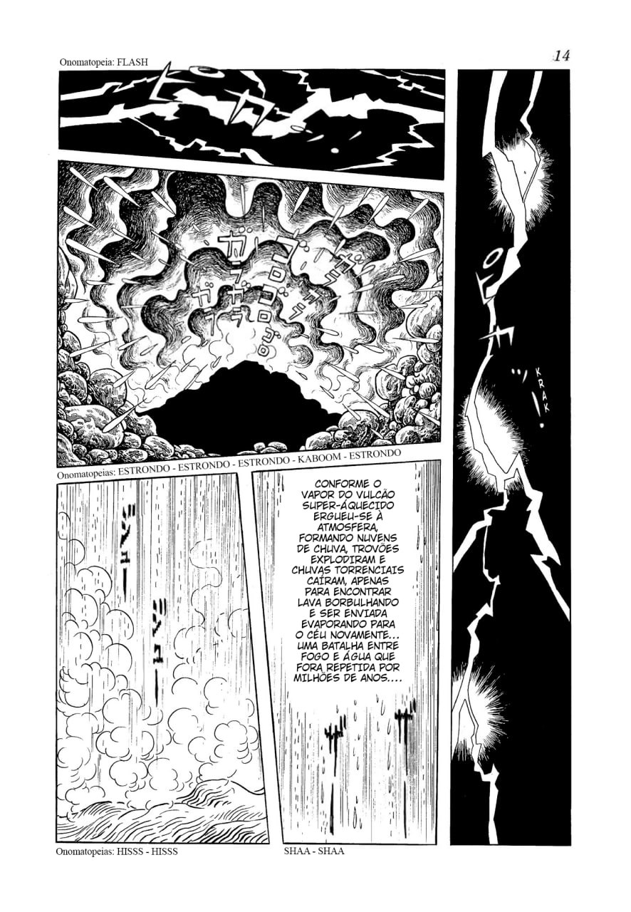 Phoenix O Amanhecer 第14页