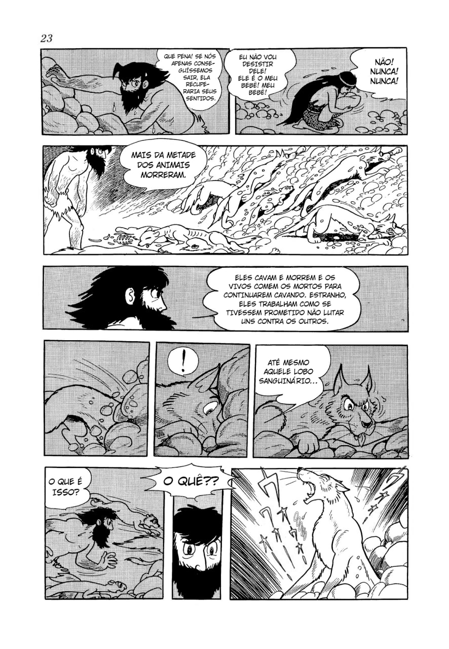 Phoenix O Amanhecer 第23页