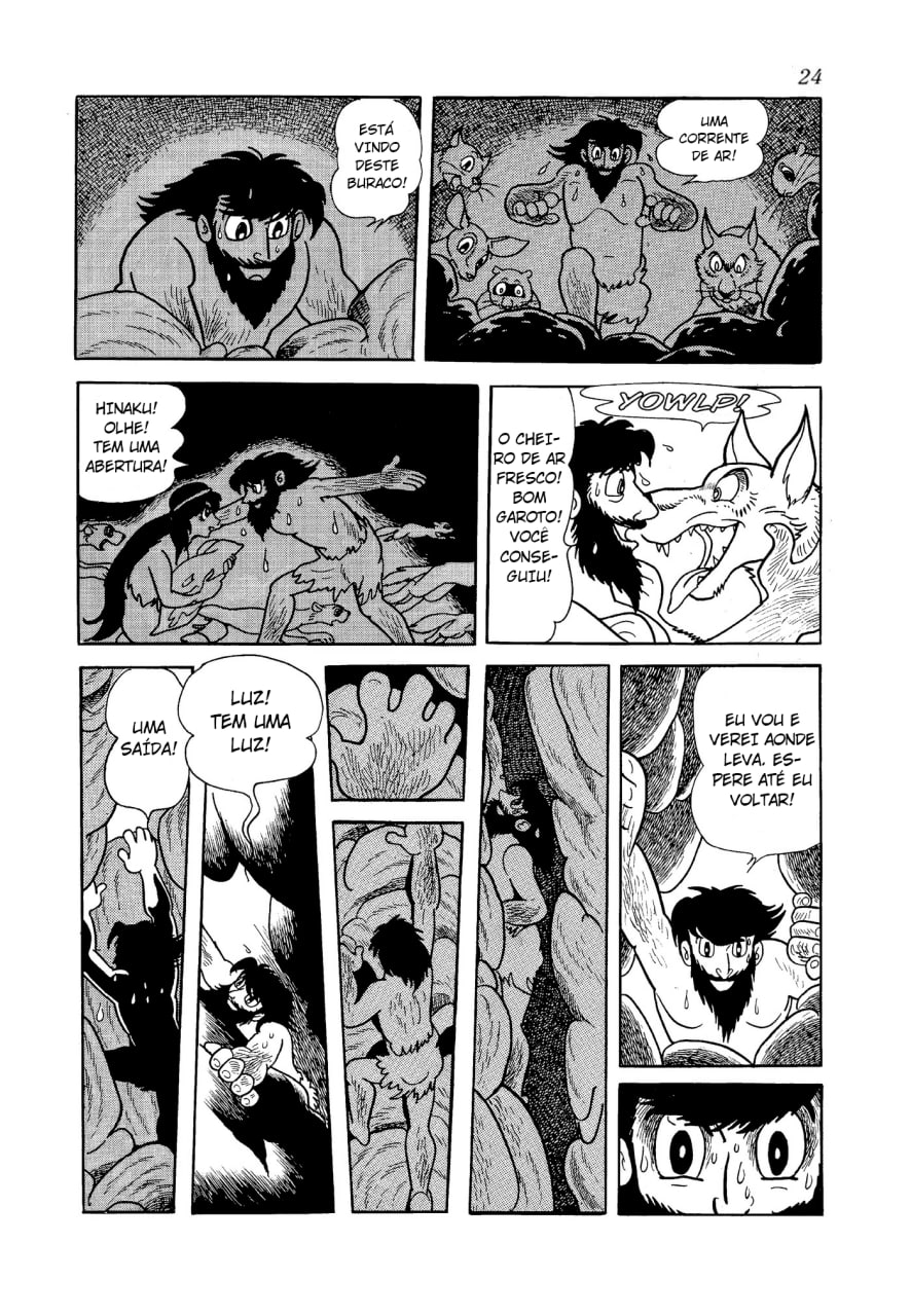 Phoenix O Amanhecer 第24页