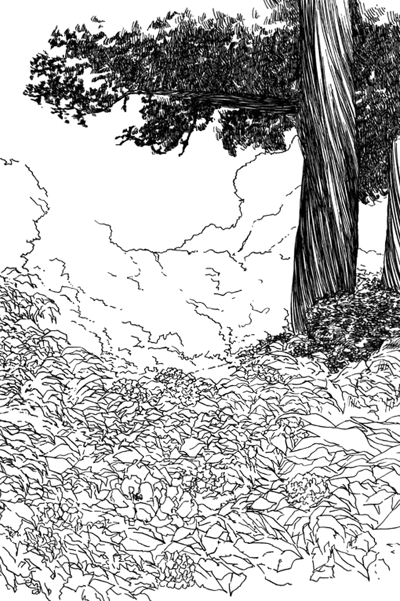 Fallen Flower 第7页