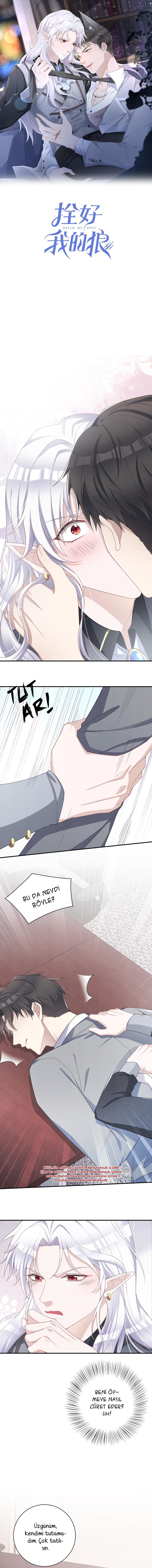 Tying up My Wolf Ch. 3 第3页