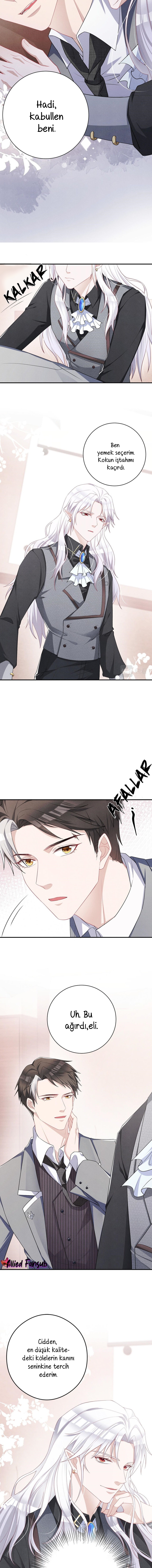 Tying up My Wolf Ch. 3 第9页