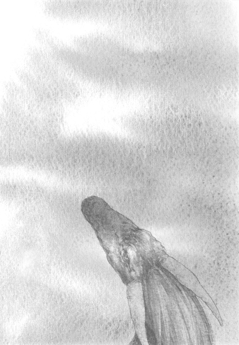 The Beast Player Prologue - Mother's Whistling 第23页
