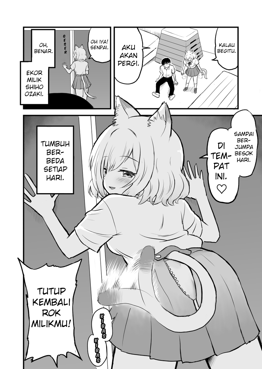 Higawari Shippo no Ozaki-chan Kucing 第3页