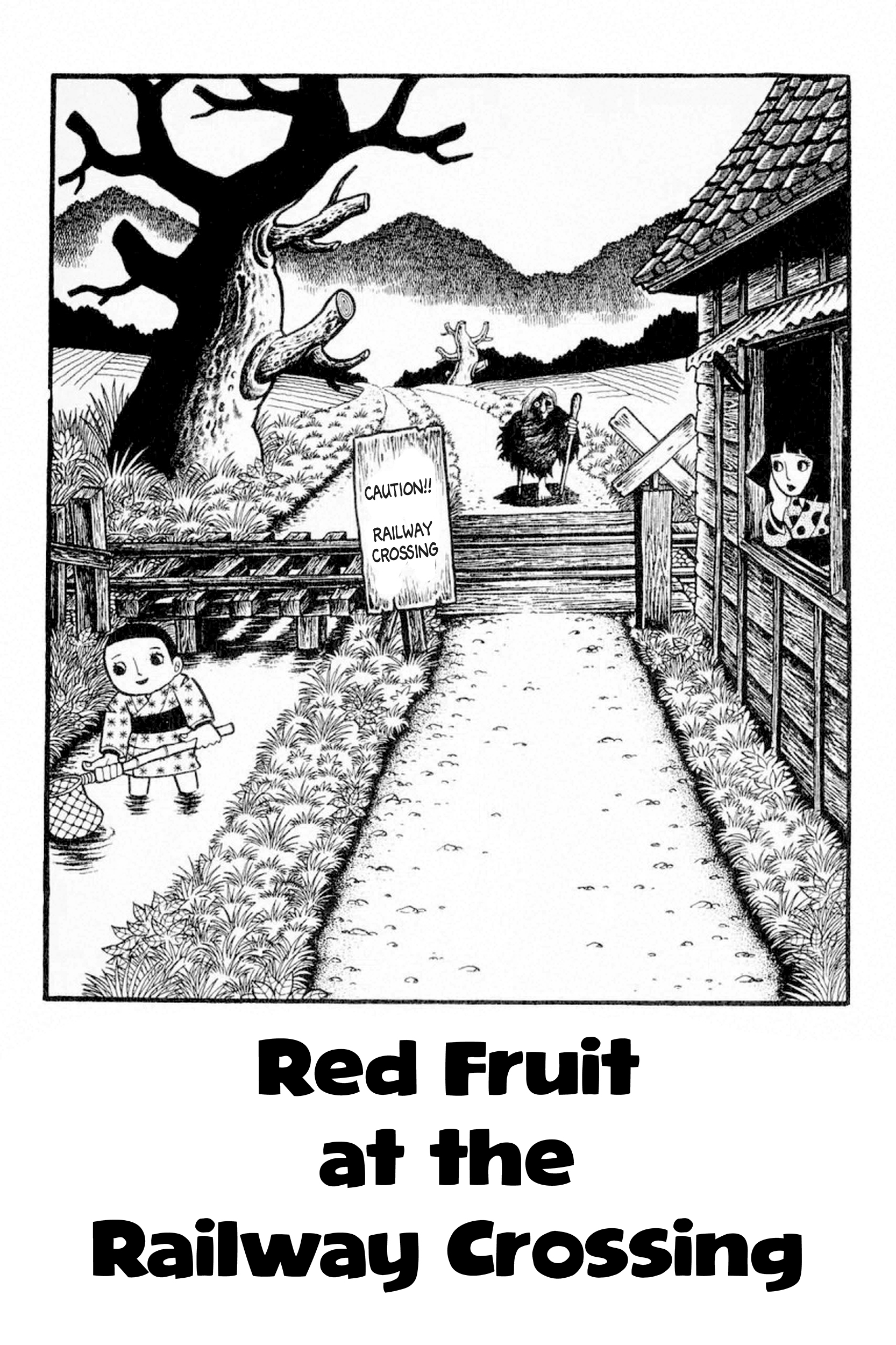 Red Fruit at the Railway Crossing 第1页