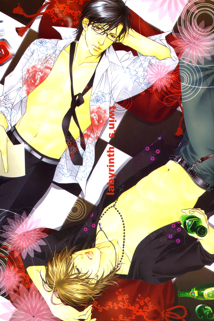 Twin's Labyrinth 第5页
