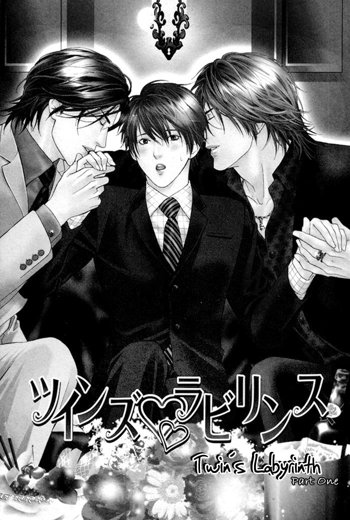 Twin's Labyrinth 第6页