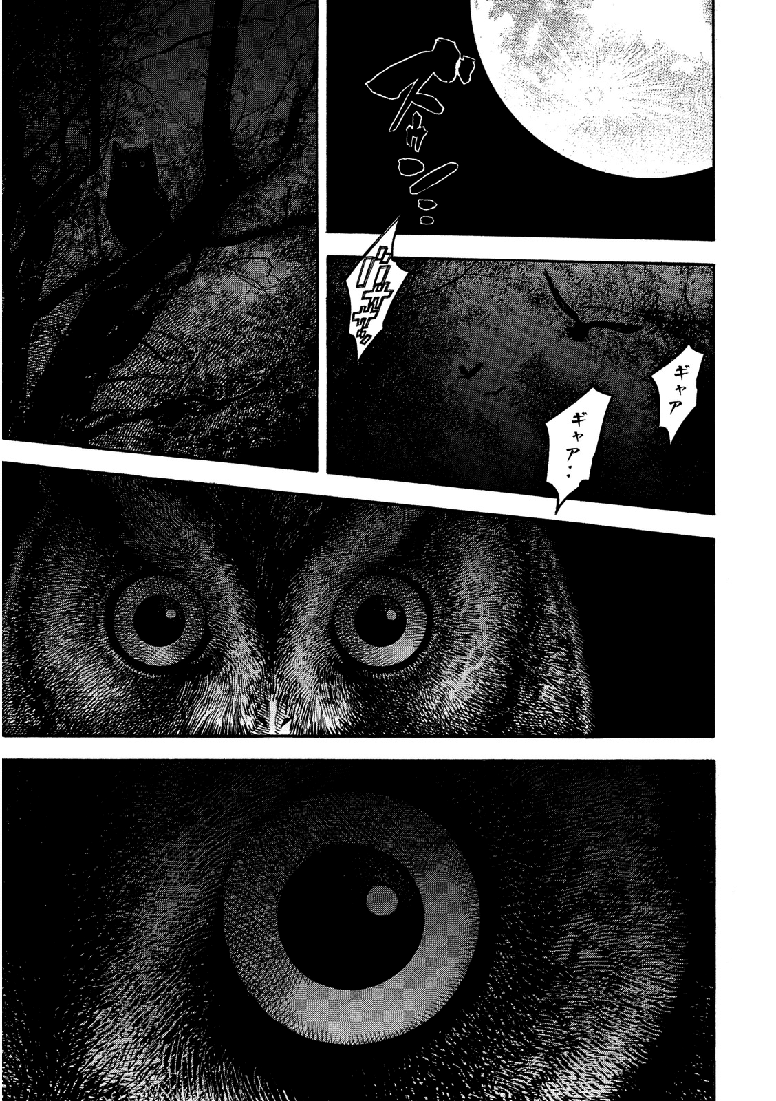 Like the Kudan Tsujimoto Hikaru (Parte I) 第19页