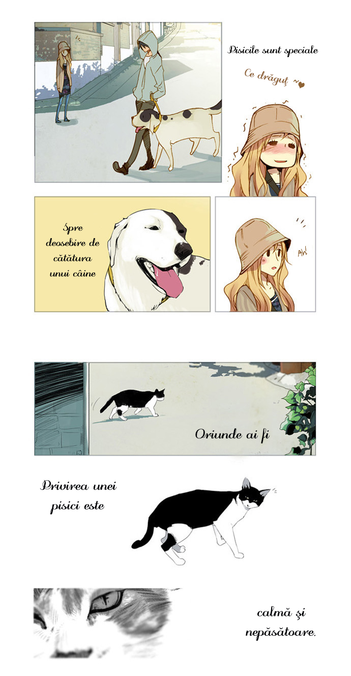 Nineteen, Twenty-One Magnolie 第17页
