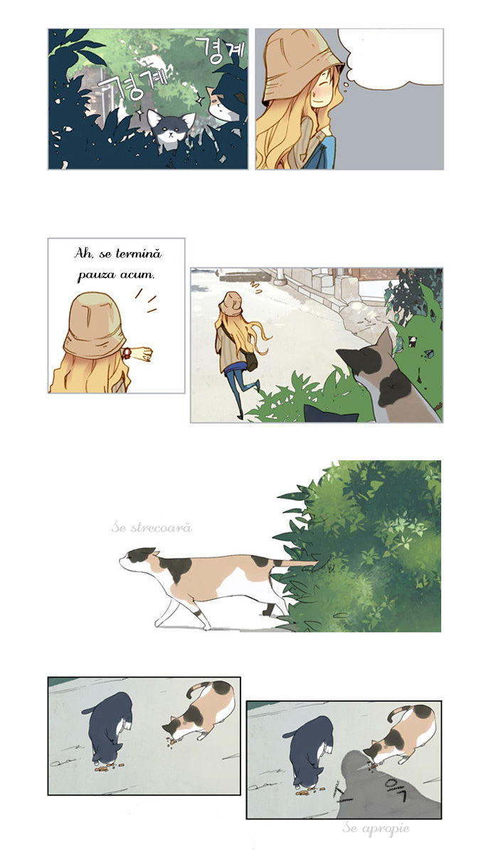 Nineteen, Twenty-One Magnolie 第20页