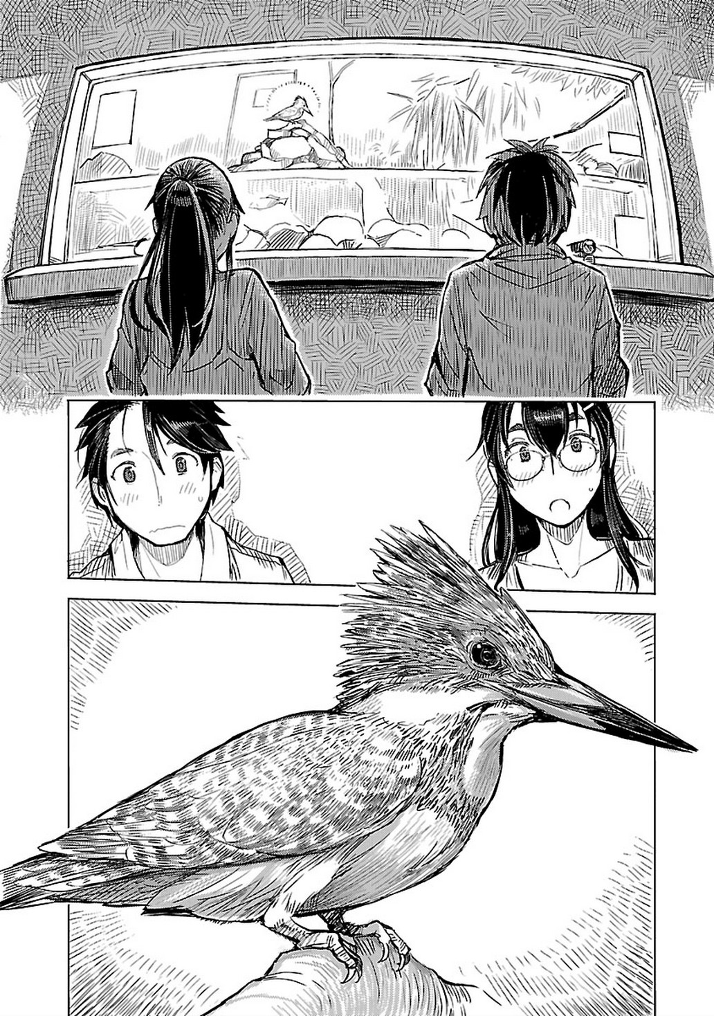 Akiyama-san no Tori Life Birdwatching on A Rainy Day 第10页