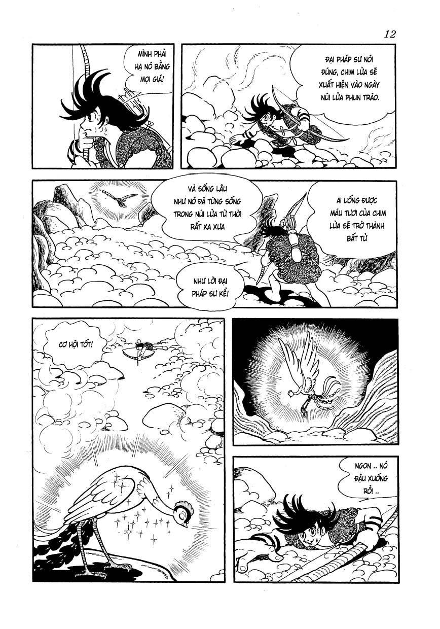 Phoenix Vol. 1 Ch. 1 第13页