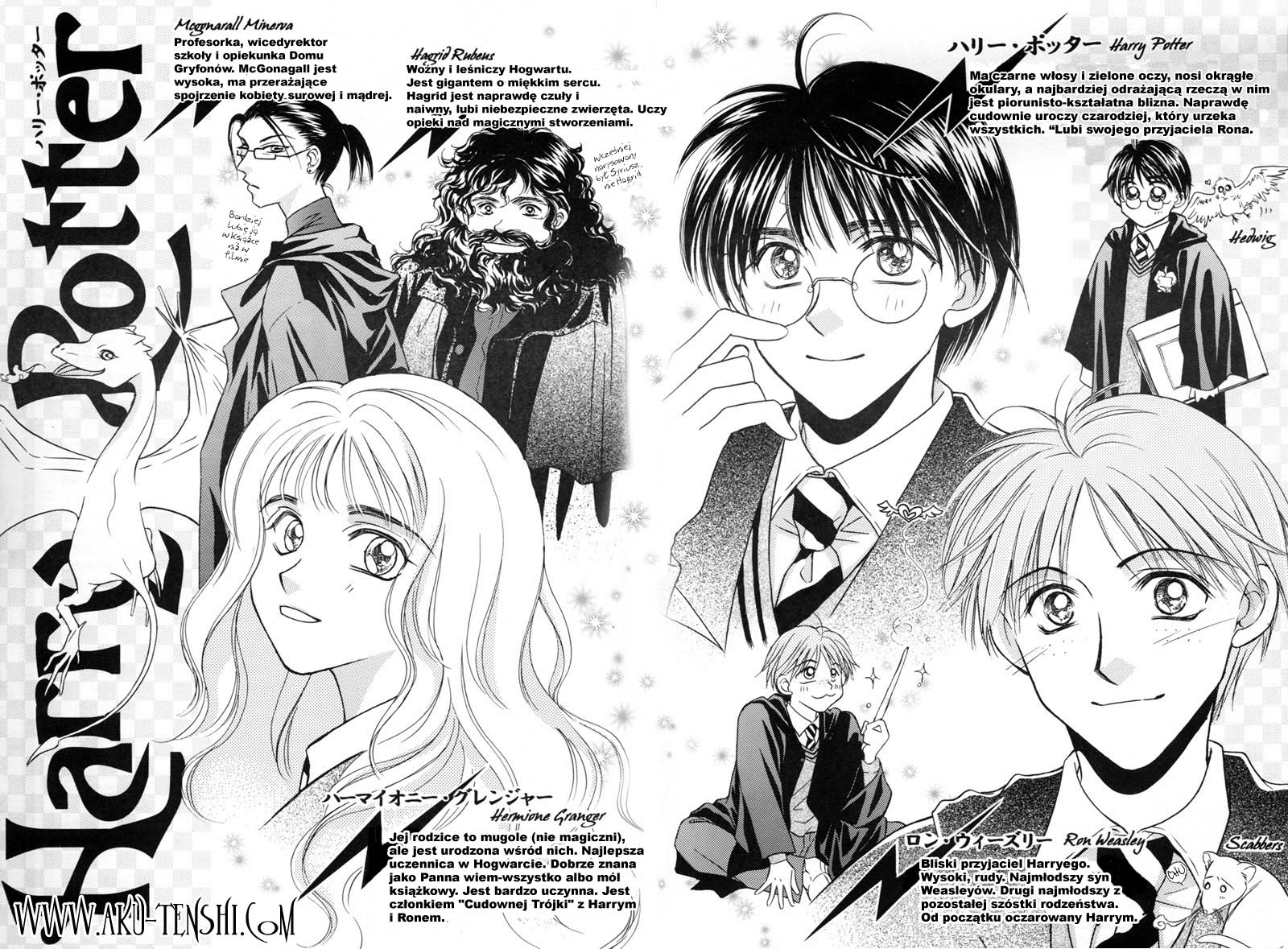 Harry Potter - Carnival II 2002 (Doujinshi) 第3页