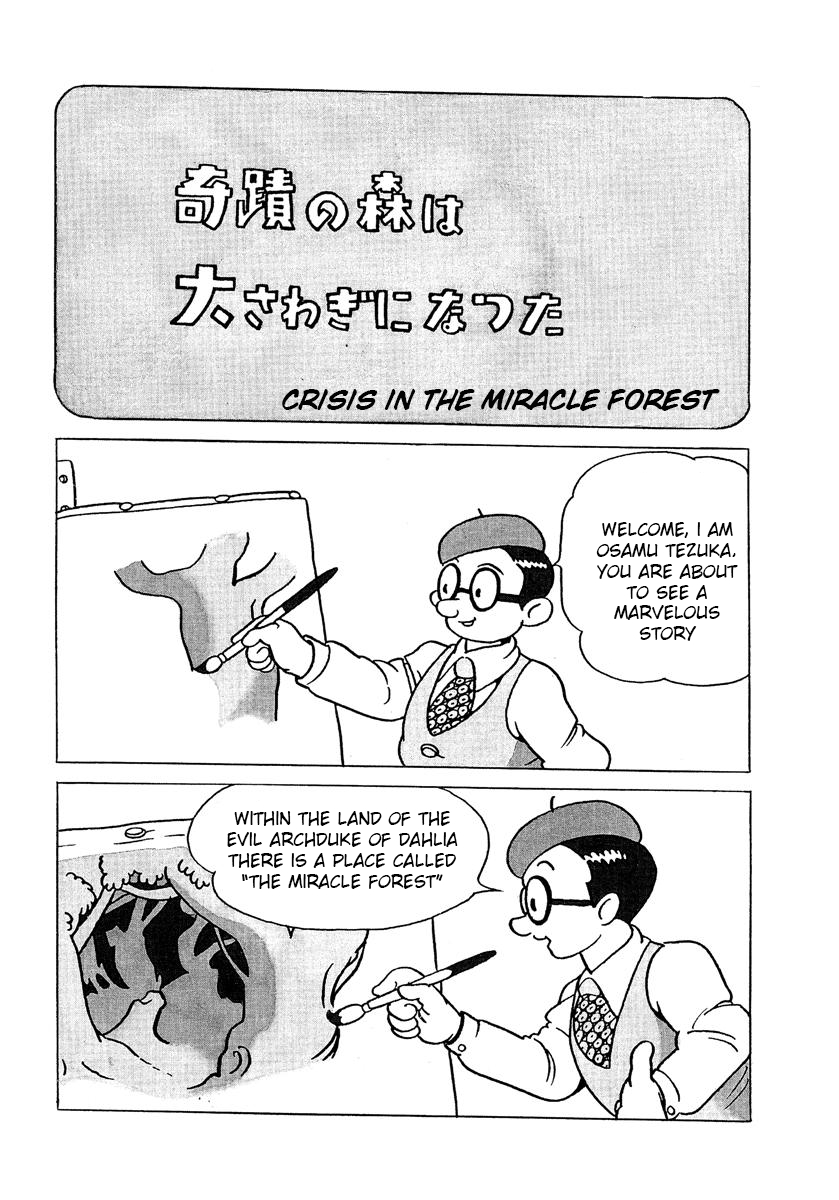 Tale of the Miracle Forest 第4页