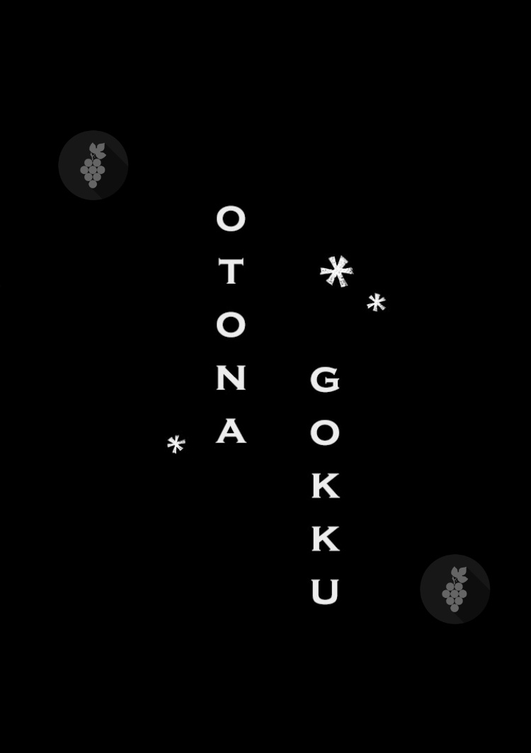 Otona Gokko Fim! 第14页