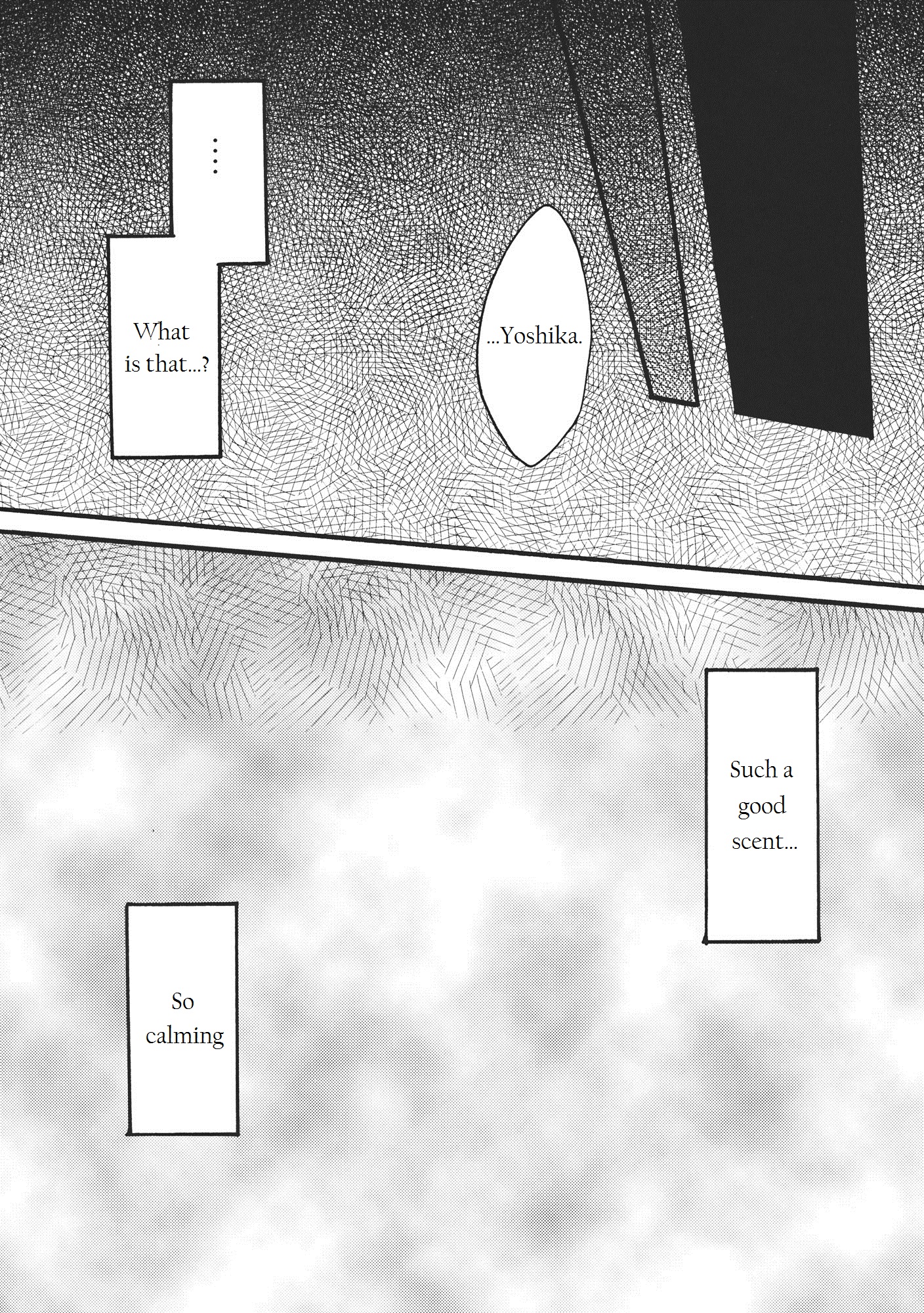 Touhou - SeiYoshi! (Doujinshi) 第5页