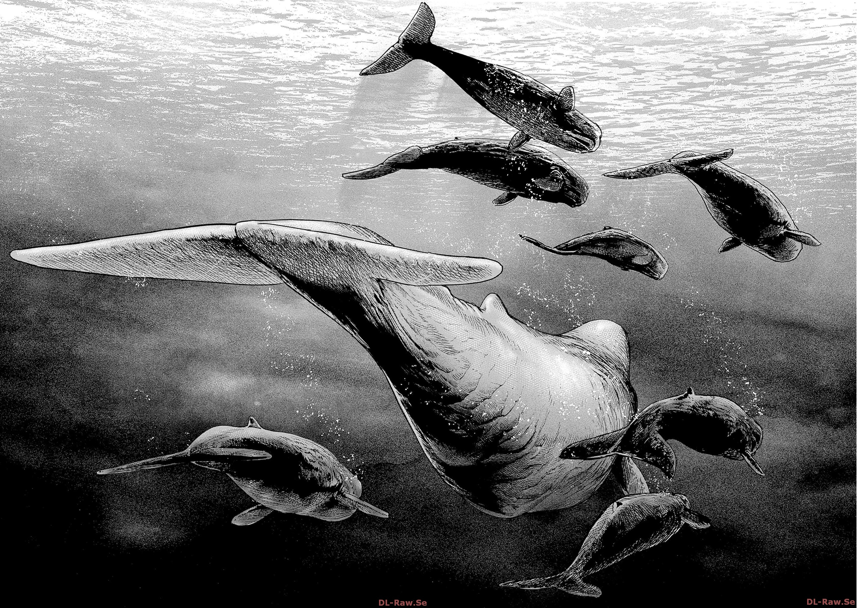 Ahab Vol. 1 Ch. 2 第47页