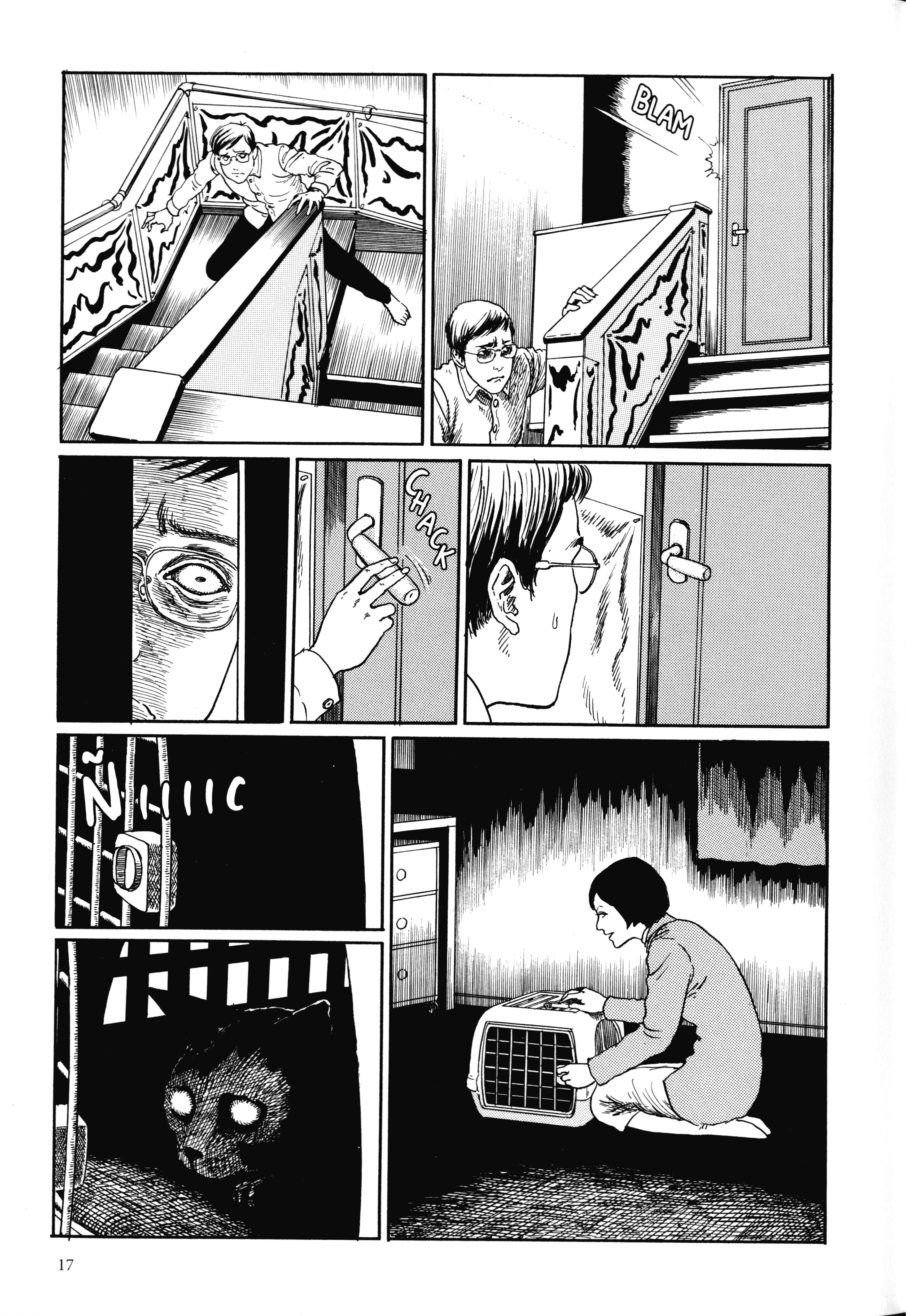 Junji Ito's Cat Diary: Yon & Mu Yon irrumpe en nuestro hogas 第3页