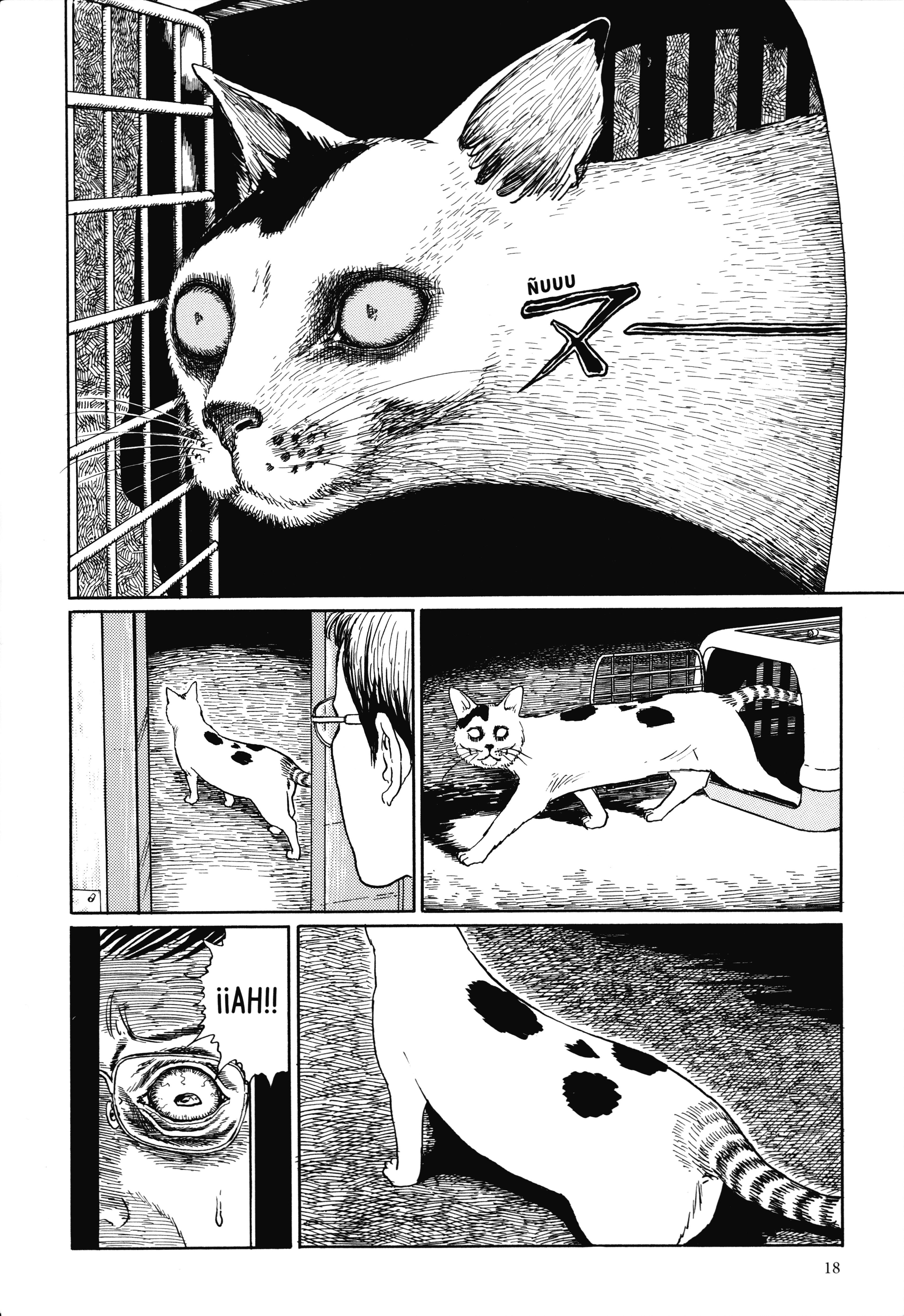 Junji Ito's Cat Diary: Yon & Mu Yon irrumpe en nuestro hogas 第4页