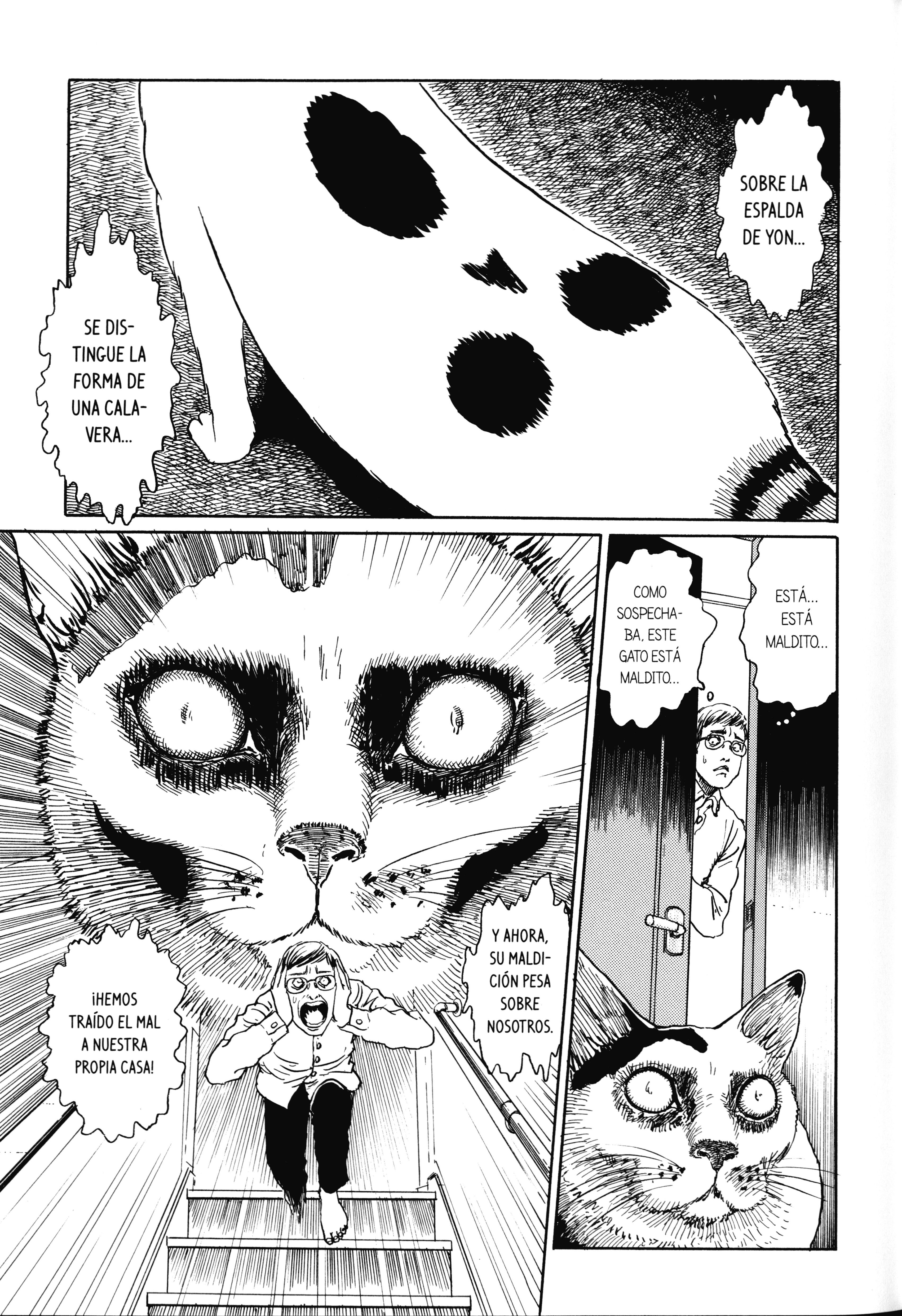Junji Ito's Cat Diary: Yon & Mu Yon irrumpe en nuestro hogas 第5页