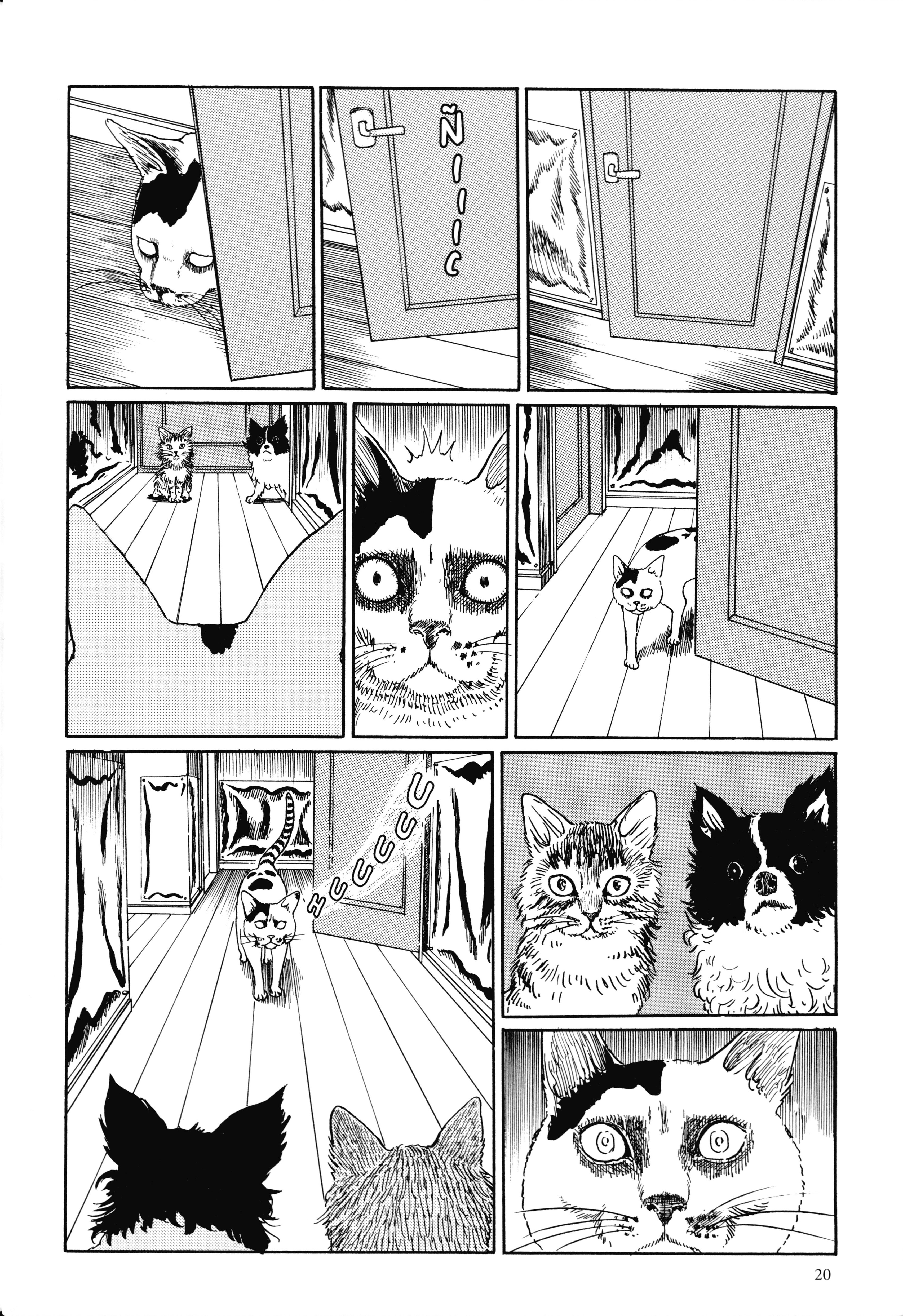 Junji Ito's Cat Diary: Yon & Mu Yon irrumpe en nuestro hogas 第6页
