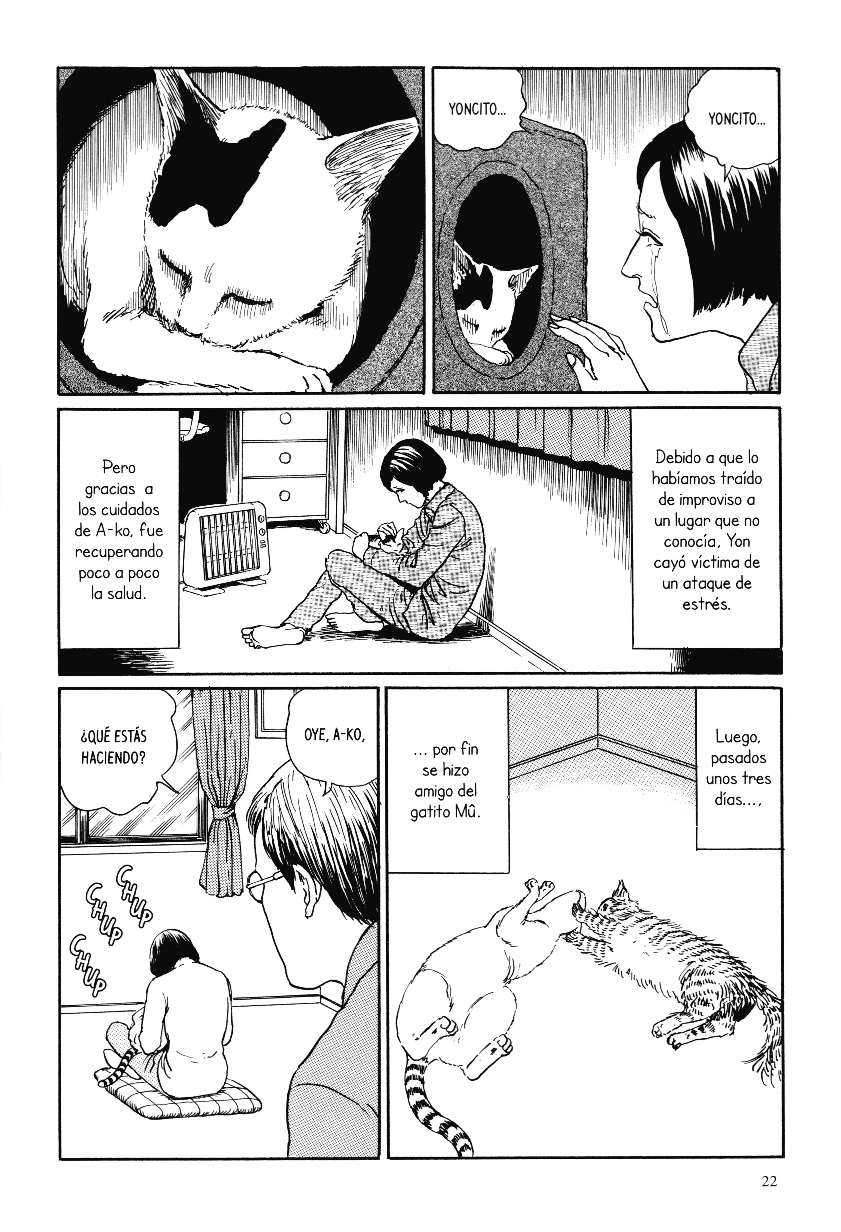 Junji Ito's Cat Diary: Yon & Mu Yon irrumpe en nuestro hogas 第8页