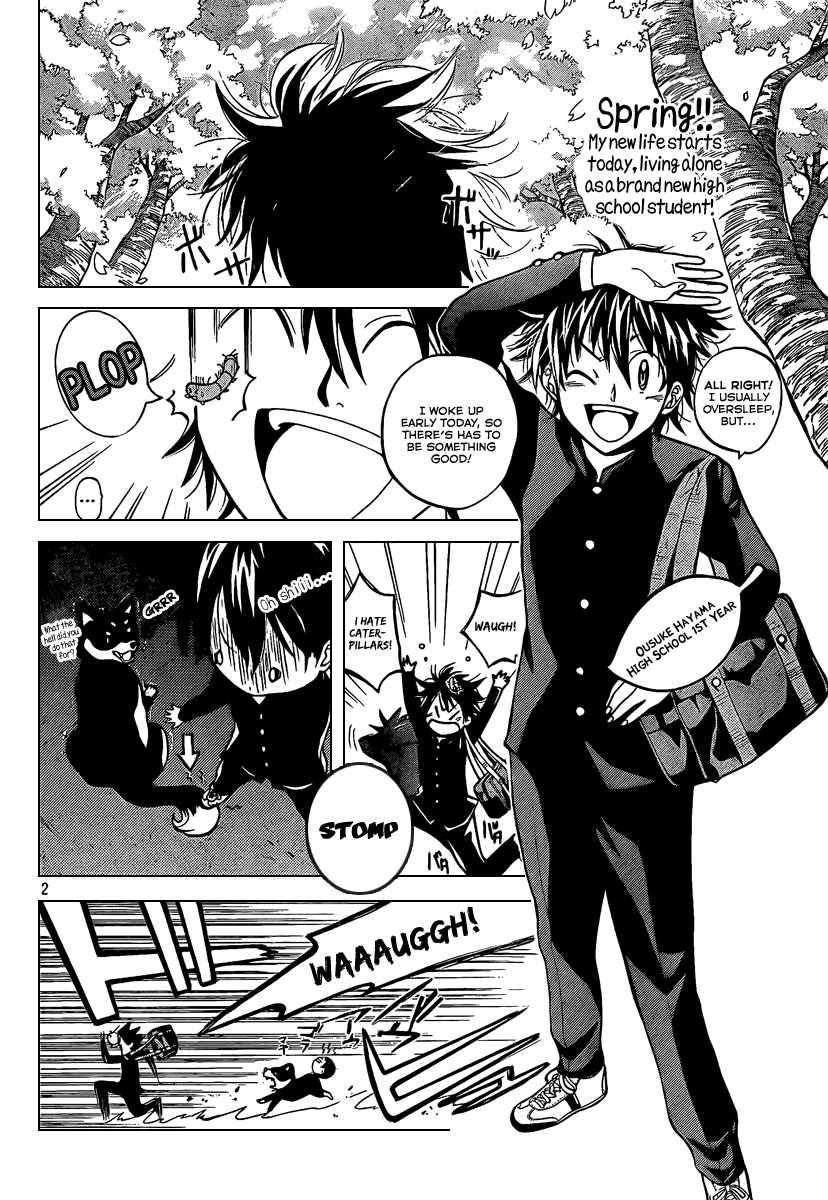 Fox's Wedding 第3页