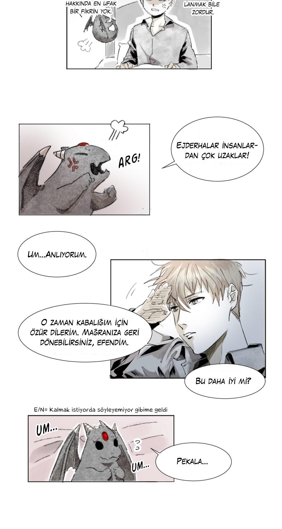 As You Wish Bir Şans Daha 第29页