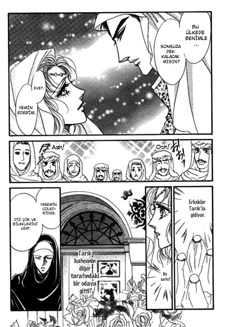 Sheikh ni Sarawarete Ch. 2 第13页