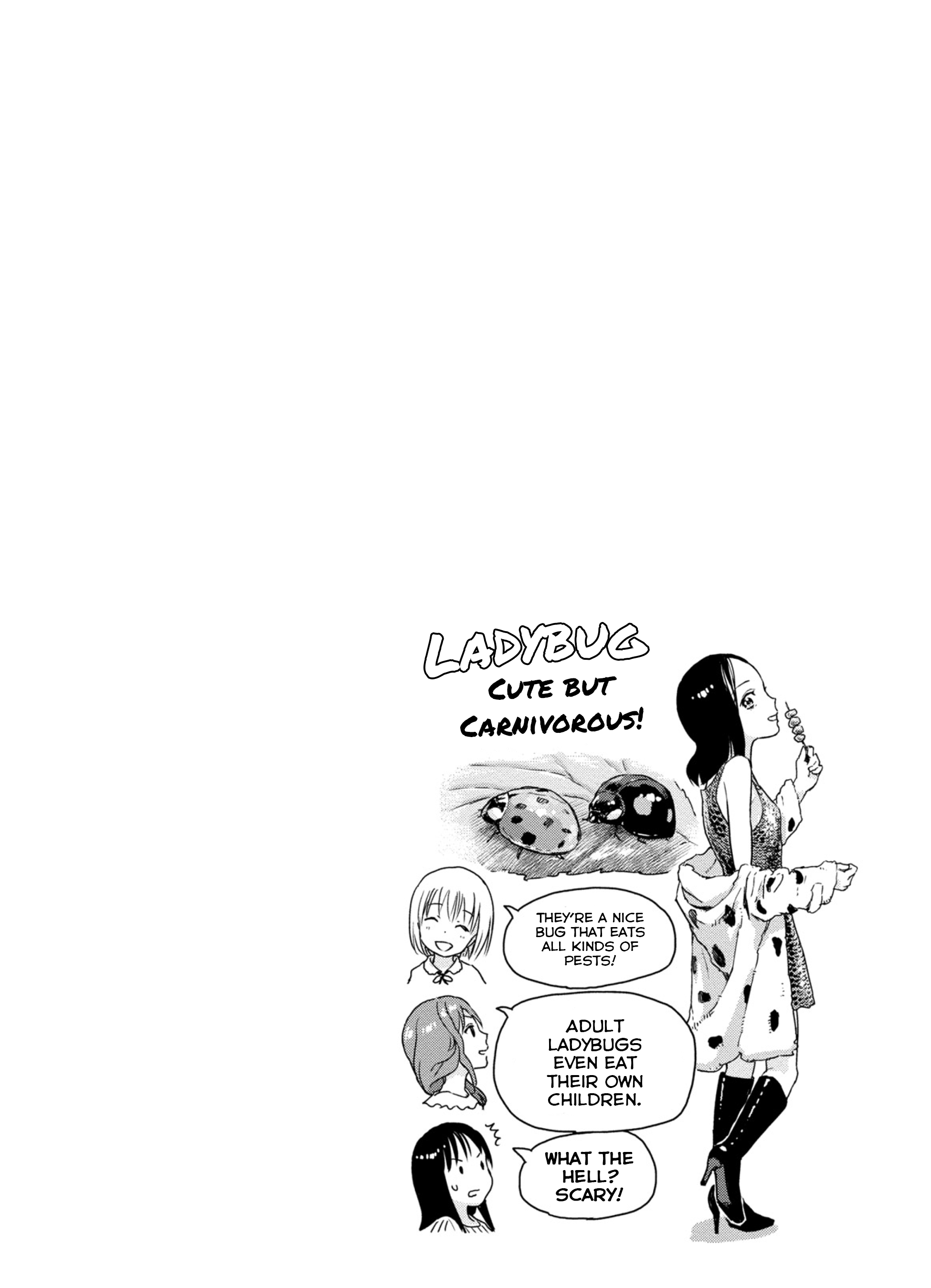 Mai's Insect Life Bagworm 第10页