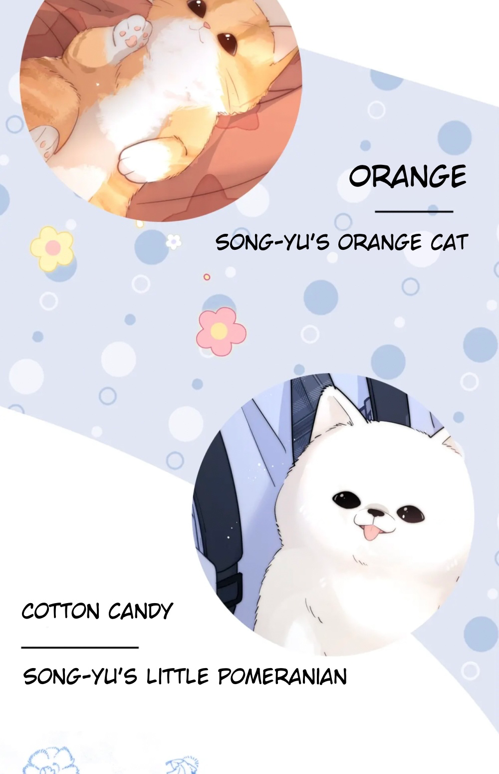 Lovely Allergen Character introduction 第13页