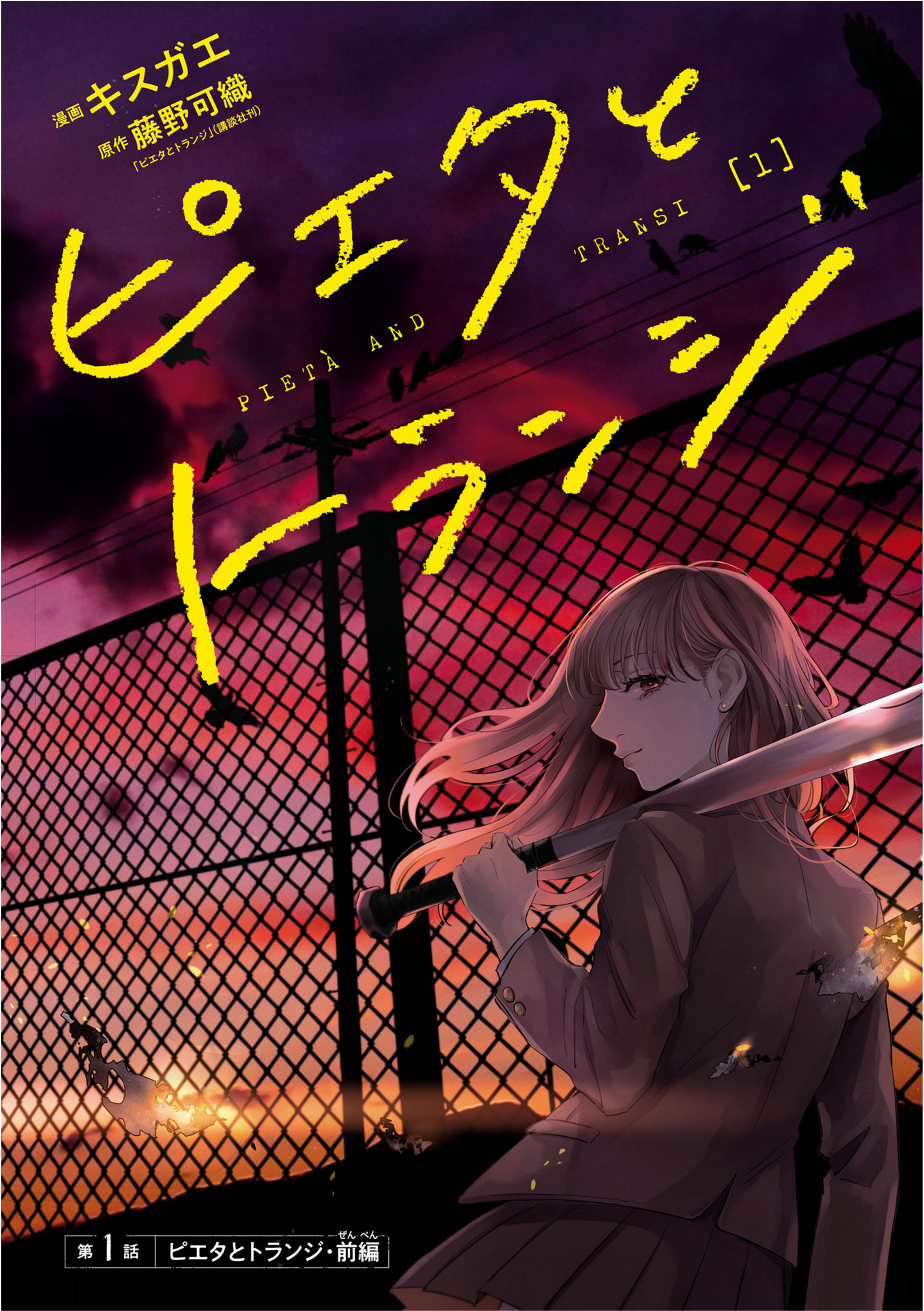 Pieta and Transi 第5页