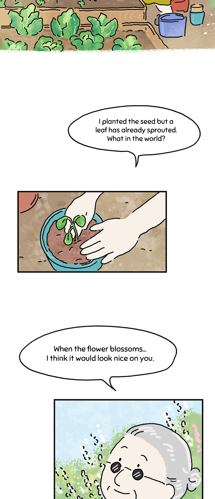 Drawing Recipe Sprouting Potatoes 第37页