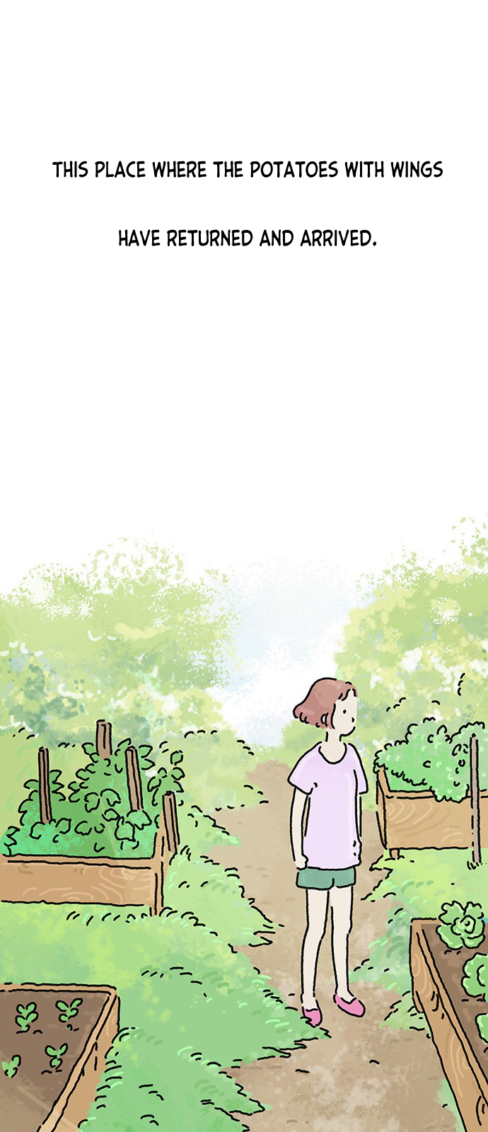 Drawing Recipe Sprouting Potatoes 第42页