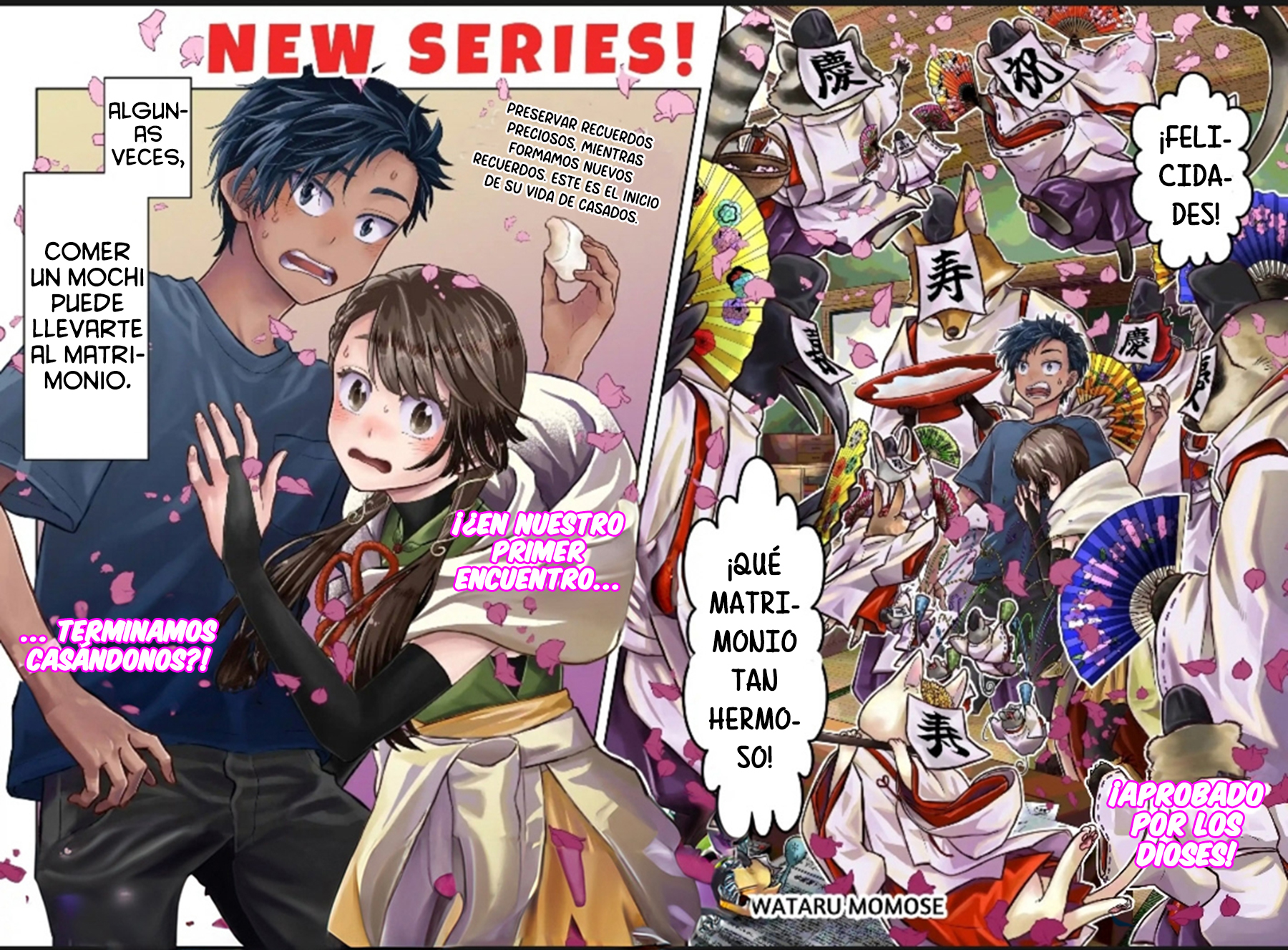 Saneka no Yomeiri 第4页