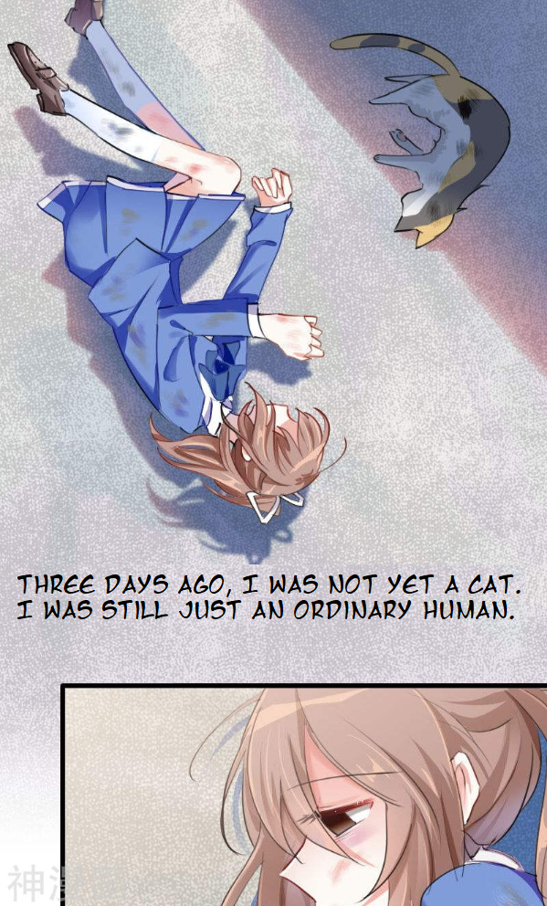 Help, My Boyfriend Is a Ghost! Ch. 2 第3页