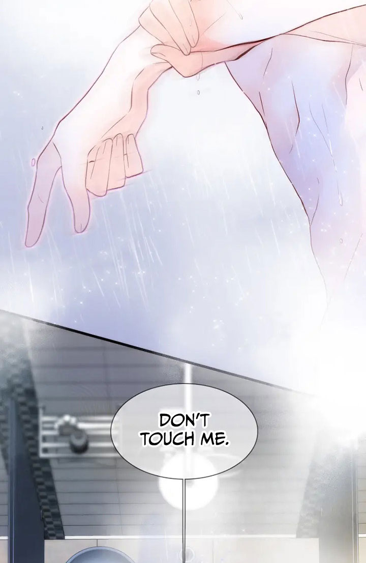 The Beauty Ran Away With the Hedgehog Why Can't I Seem to Avoid You? 第68页