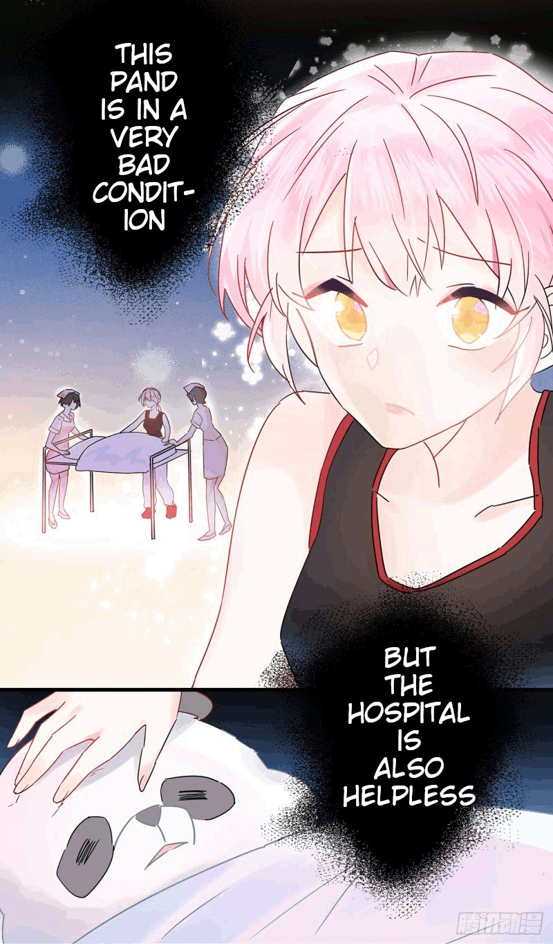 You Live in my Heart Who is this Guy? 第3页