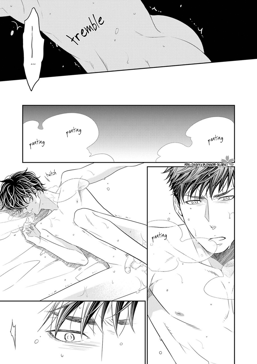 Hinekure Chaser Extra 第10页