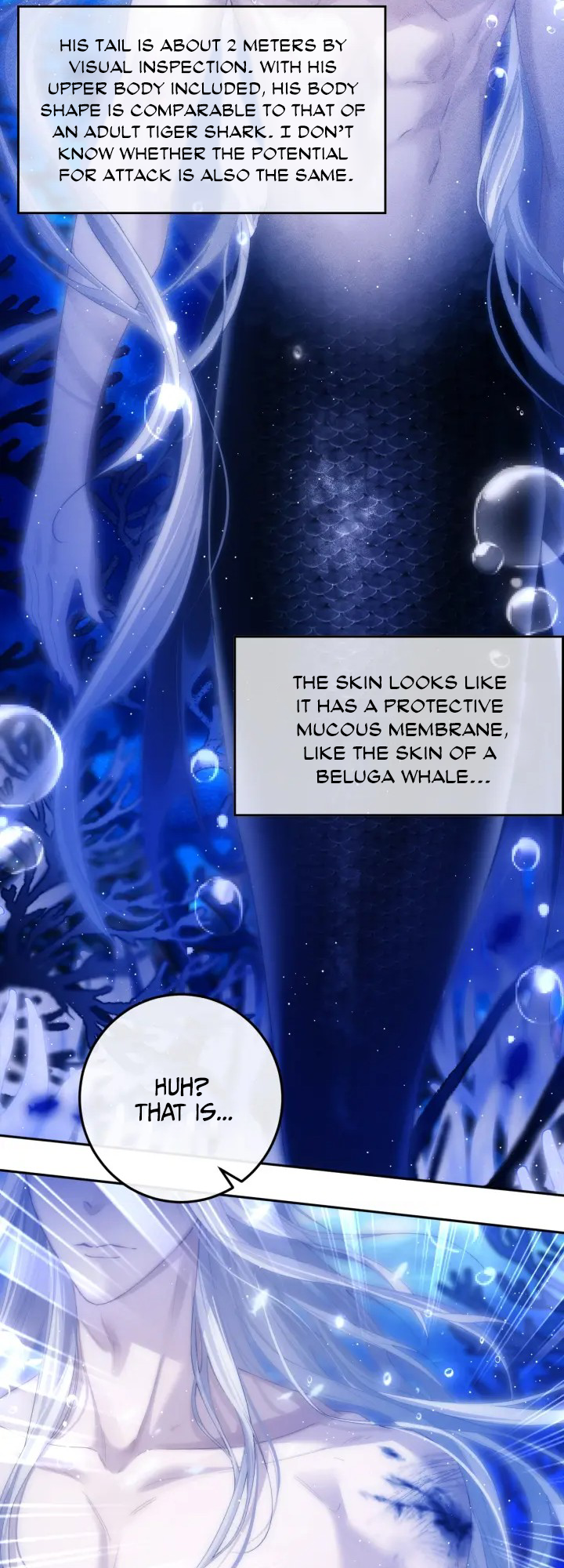 Desharow Merman Desire to explore 第28页