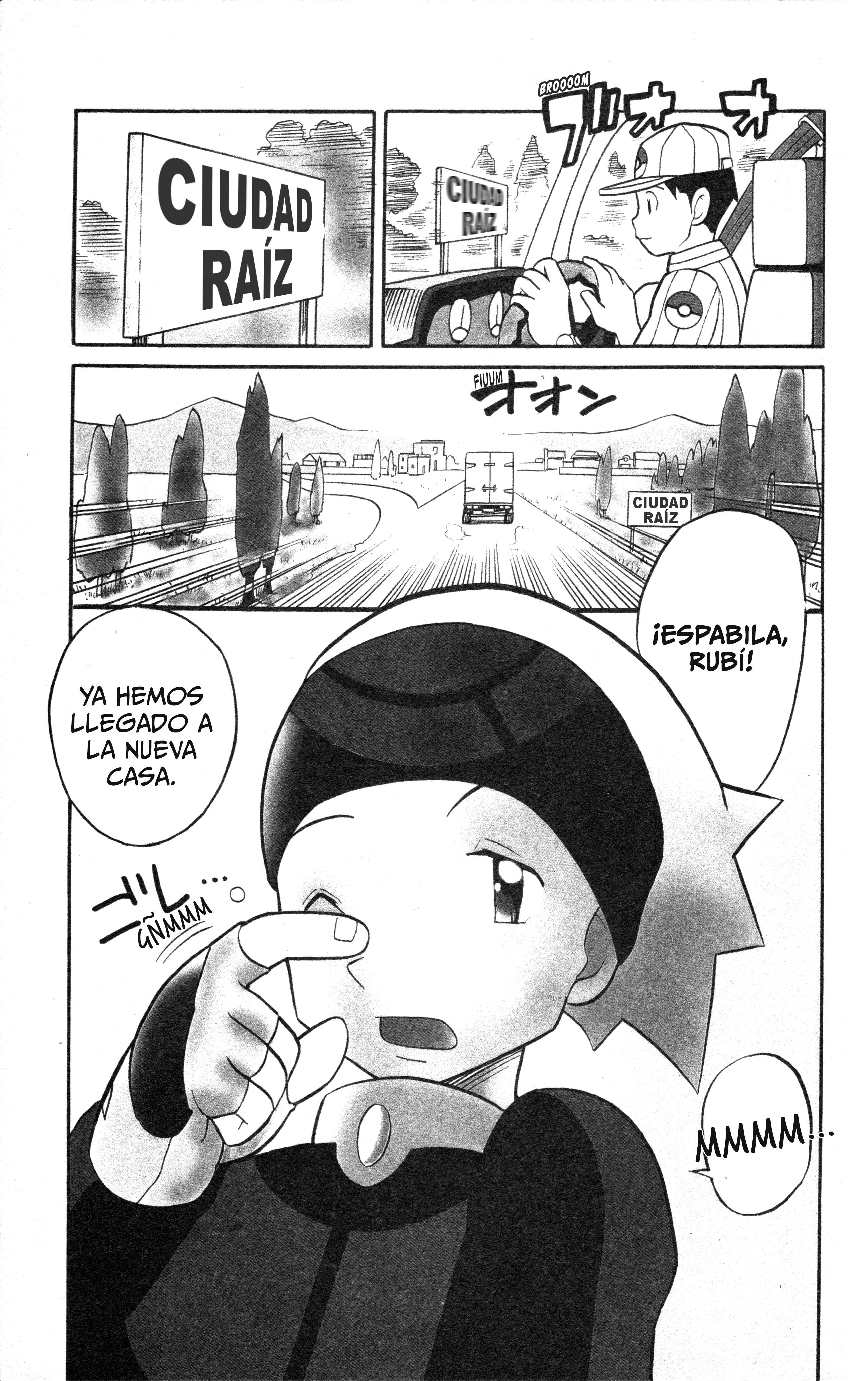 Pokémon Ruby & Sapphire: Spectacular Manga! Oneshot 第13页