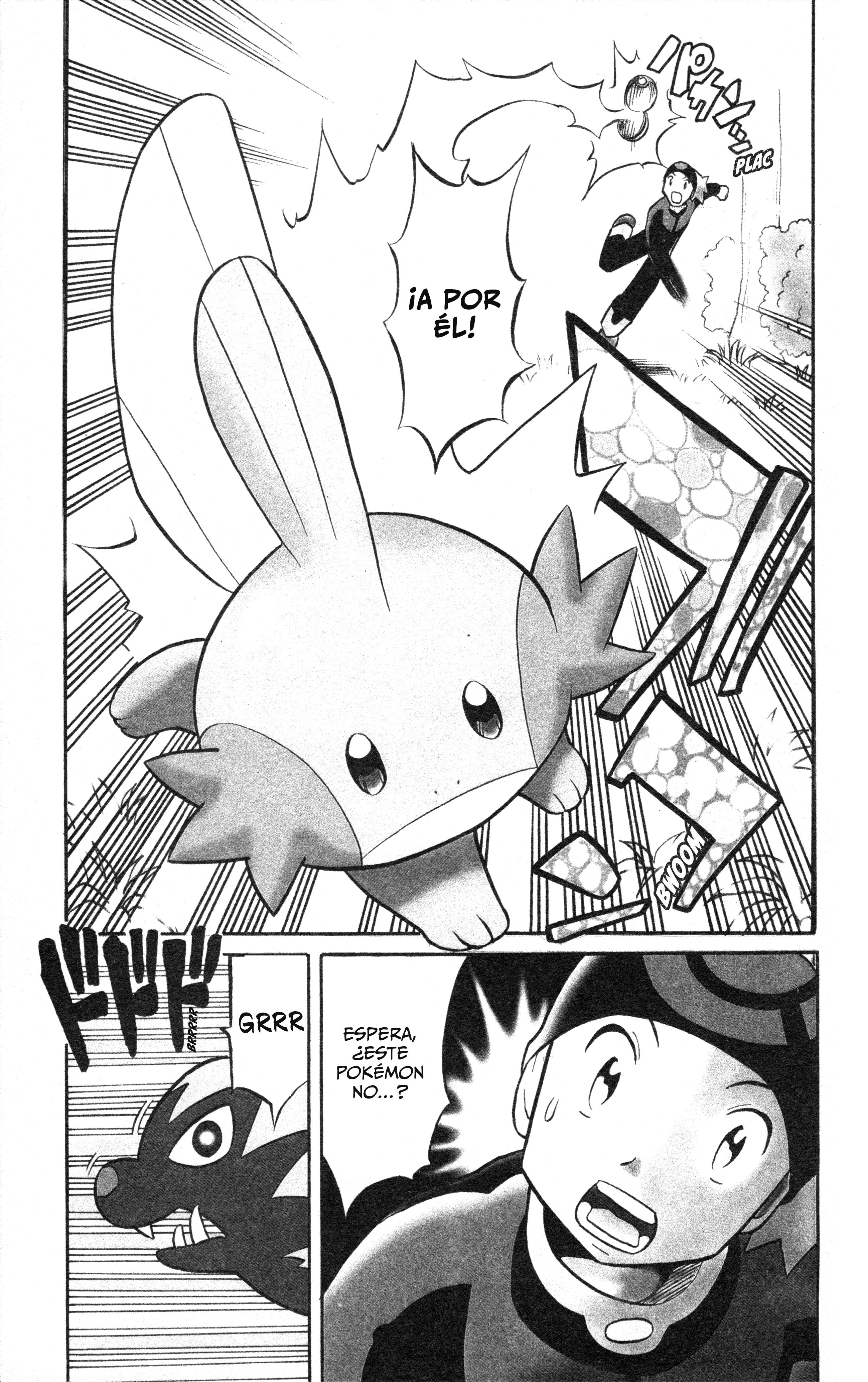 Pokémon Ruby & Sapphire: Spectacular Manga! Oneshot 第21页